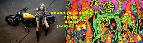 гашик Баксан