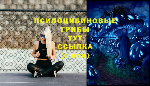 гашик Баксан