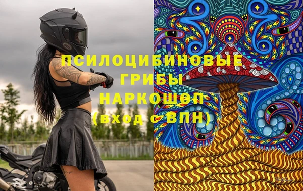 гашик Баксан