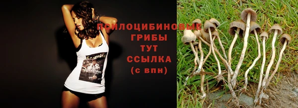 гашик Баксан